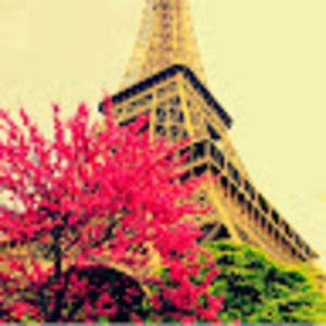 Meet your Posher, Janessa